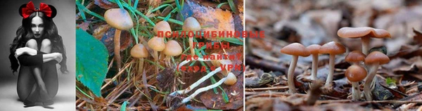 экстази Бородино