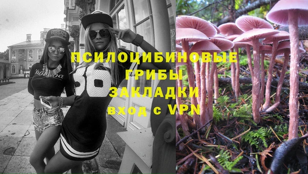 экстази Бородино